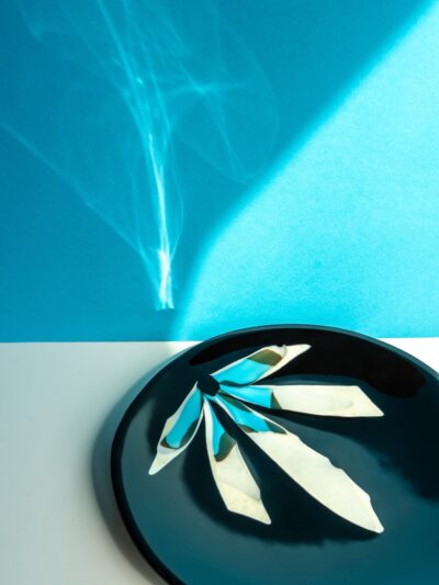 Grande assiette de verre fond noir avec pétales de couleurs blanche, crème et turquoise translucide illustrant une demie fleur.