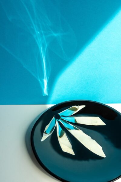 Grande assiette de verre fond noir avec pétales de couleurs blanche, crème et turquoise translucide illustrant une demie fleur.